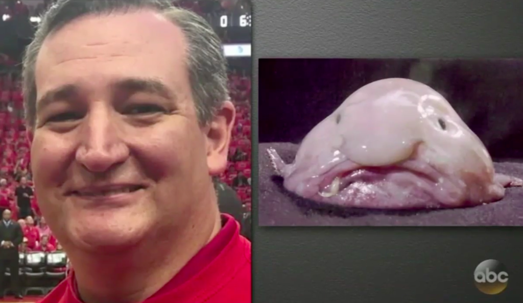 Jimmy Kimmel recently compared Ted Cruz to a Blob Fish